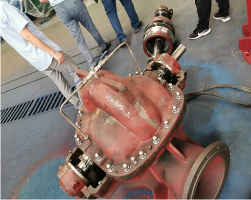 長沙天鵝工業泵股份有限公司,試壓合格-TGS250-380C中開離心泵