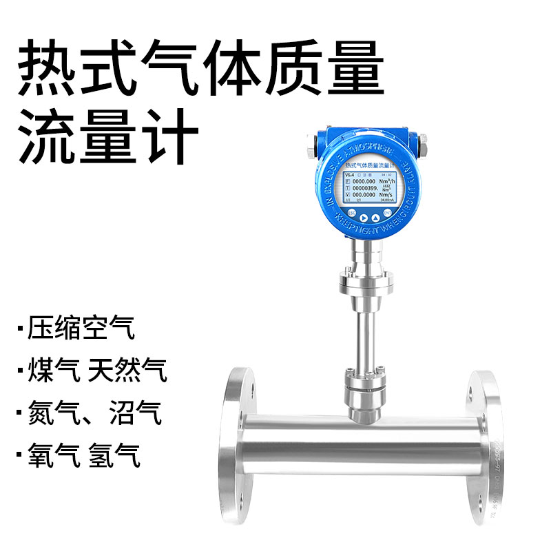 熱式氣體質量流量計（jì）